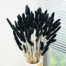 60/120 件天然干花装饰，天然干兔尾草花，干蒲苇，用于家居装饰、婚礼装饰、派对装饰、DIY 工艺、拍摄道具、主题装饰，17.7 英寸（白色）礼物生日毕业，秋季装饰，秋季