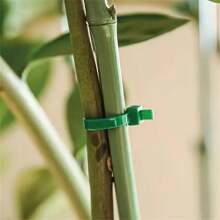 100 件套园艺捆扎带、束线带、塑料缠绕带、植物固定带、便携式园艺电缆、园艺和草坪护理（10 厘米长） - 綠色 - 查看 10