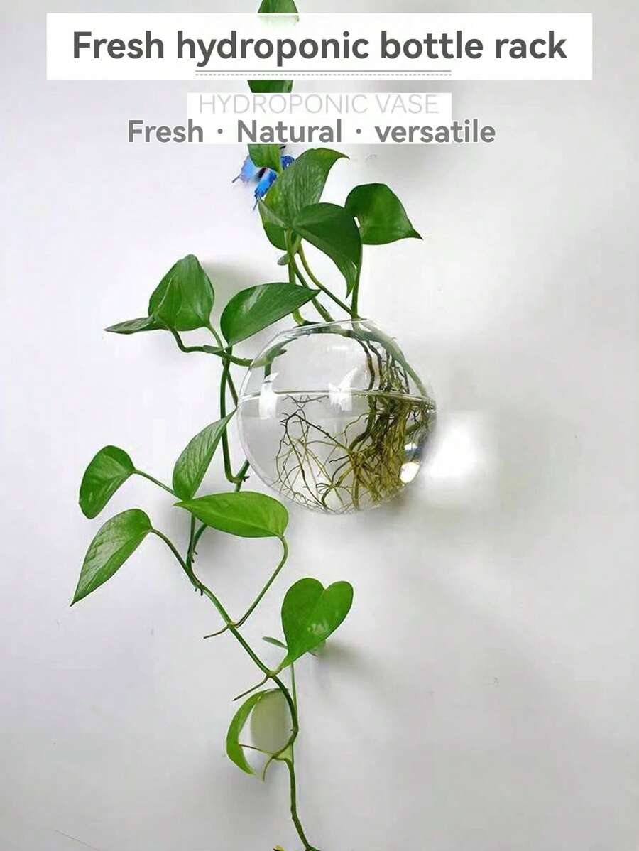 1 件壁挂式玻璃花瓶，适用于水培植物，创意壁挂式鱼缸装饰，多功能家居装饰，配有免费无钉挂钩