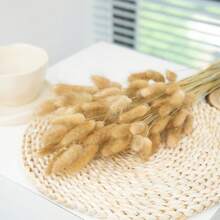 60/120 件天然干花装饰，天然干兔尾草花，干蒲苇，用于家居装饰、婚礼装饰、派对装饰、DIY 工艺、拍摄道具、主题装饰，17.7 英寸（白色）礼物生日毕业，秋季装饰，秋季 - 棕色 - 查看 9