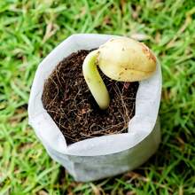 50/100/200 unidades Bolsas de vivero de semillas, bolsas de cultivo no tejidas, macetas de semillero de tela, suministros para el hogar y el jardín, bolsas de vivero de plántulas para trasplante de suelo, suministros de producción agrícola 8x10 cm
