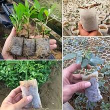 50/100/200 unidades Bolsas de vivero de semillas, bolsas de cultivo no tejidas, macetas de semillero de tela, suministros para el hogar y el jardín, bolsas de vivero de plántulas para trasplante de suelo, suministros de producción agrícola 8x10 cm