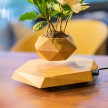 HCNT Magnetic Levitating Plant Pot Floating Flower Pot For Home Decoration - 棕色 - 查看 4