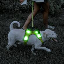 Light Up LED Dog Harness, No Pull LED Dog Harness Rechargeable LED Dog Vest Glow In The Dark Lighted Dog Walking & Camping Harness For Small Medium Large Dogs