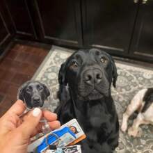 Carrete de insignia de mascota, carrete de insignia con foto personalizada, cara de perro personalizada, cara de gato personalizada, carrete de insignia personalizado, carrete de insignia de enfermera, vida de enfermera, insignia con nombre