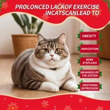 Yealeo Cat Lover And Cat Mom Love Exercise Wheel For Indoor Cat Lover And Cat Mom Loves, Easy To Install Cat Lover And Cat Mom Love Treadmill,For Cat Lover And Cat Mom Love's Fitness & Health, Easy To Install And Suits For Most Cat Lover And Cat Mom Loves - Grey - View 10