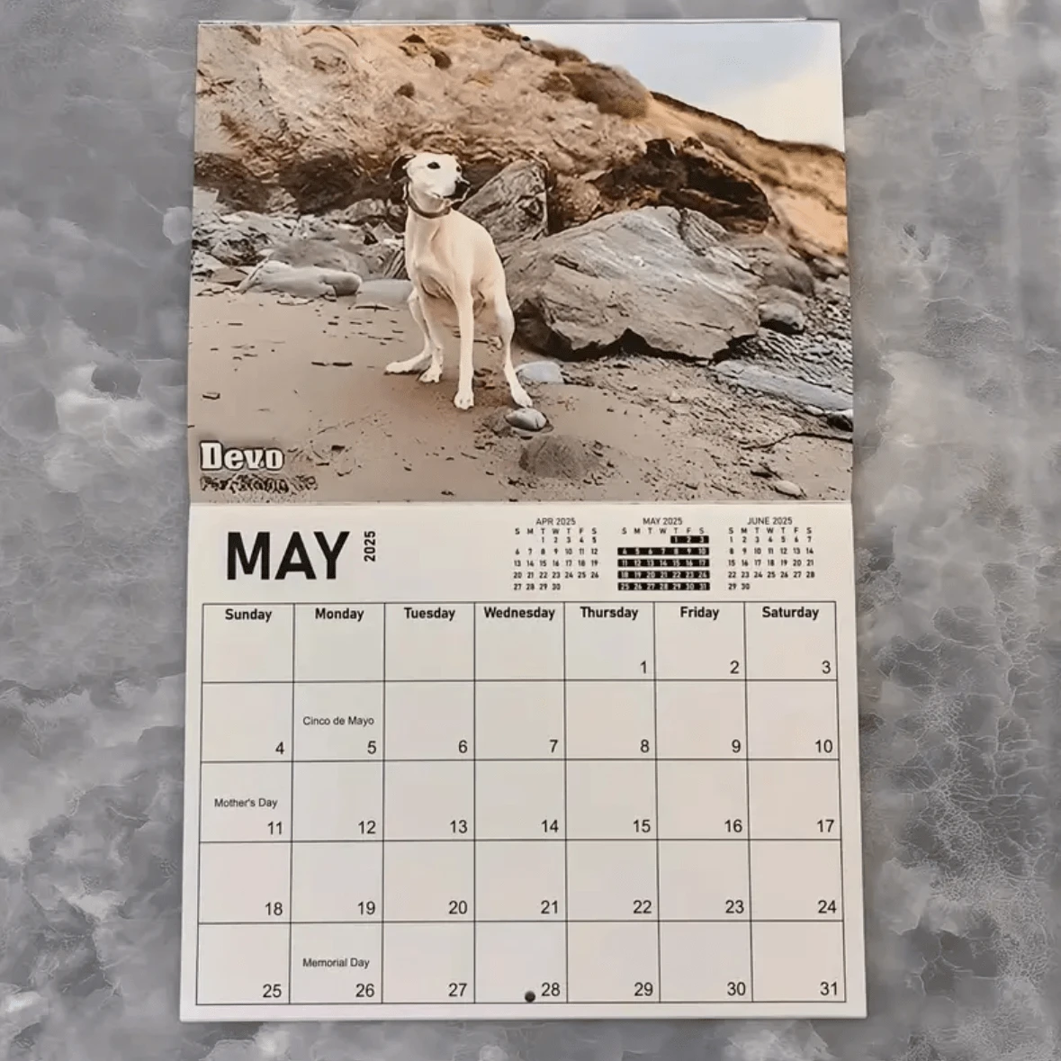 2025 Pooping Pooches Wall Calendar Scenic Dog Locations, Home And