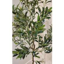 6FT Artificial Olive Tree Tall Fake Potted Olive Tree With Planter Natural Olive Branches And Realistic Leaves Lifelike Fruits- Faux Olive Tree For Home House Office Decor Indoor - màu xanh lá - Xem 7