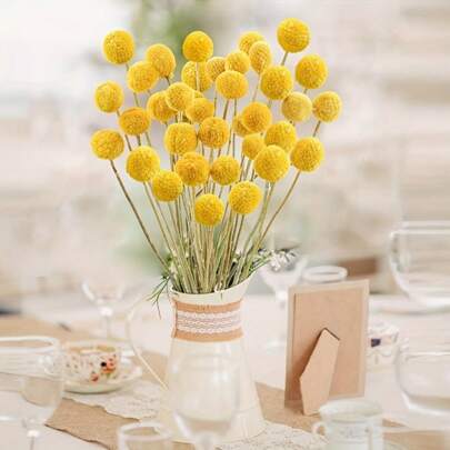 Bolas Billy secas premium com flores de baquetas - adequadas para buquês de casamento, decoração de casa, artesanato DIY e estilo de fazenda - ideais para o dia dos namorados, ano novo chinês, decorações de Rama e outras decorações de feriado Rama