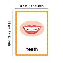 Lachilly 15 Cards Body Parts Cognitive Flash Cards Children Education Enlightenment English Learning Card Montessori Toys