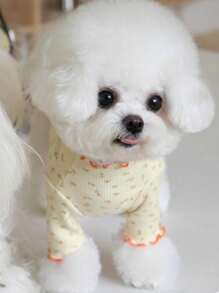 1pc Orange Ditsy Floral Pet Sweater, Suitable For Cats And Small/Medium Dogs, Suitable For Everyday Wear