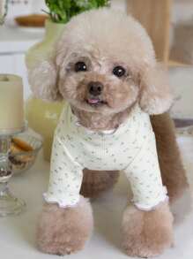 1pc Orange Ditsy Floral Pet Sweater, Suitable For Cats And Small/Medium Dogs, Suitable For Everyday Wear