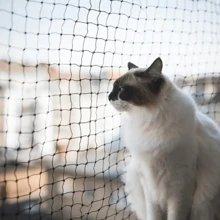 3m * 5m Thick Net Cable Balcony Green Mesh Cat Fence Balcony Cat Protection Net Barrier Net Belt Fixed Plastic Buckle, Window, Terrace, Indoor And Outdoor Cat Net. - Green - View 9