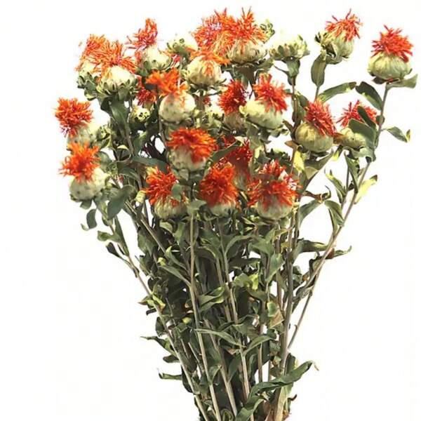 1 buquê de flores de abacaxi laranja secas naturalmente, buquê de flores secas de abacaxi, margarida e cártamo, adequado para decoração de casa, casamento, decoração de celebração de feriados, Dia dos Namorados, Ano Novo Chinês, decoração floral Rama Páscoa, decoração de jardim, plantas externas, jardinagem, flores artificiais, decoração de outono, outono