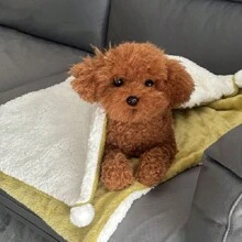 1PC Cor aleatória Quente e aconchegante cobertor de pelúcia para animais de estimação - com bola de pelúcia para cães, gatos, cachorros e gatinhos - ideal para cochilos, viagens e cuidados com animais de estimação - Multicolorido - Ver 8
