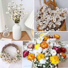 1 束白色/粉色雏菊干花，约 50-60 朵花头，43 厘米/17 英寸，适合 DIY、家居装饰、户外、婚礼，可用于圣诞节、万圣节、感恩节假期装饰、秋季装饰、秋季