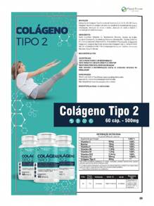 Colágeno Tipo 2 - 40mg+ Vitaminas B12 D3 Niacina Articulções UC 2 colageno  frasco 60 capsulas 500mg - Outros - Visão 3