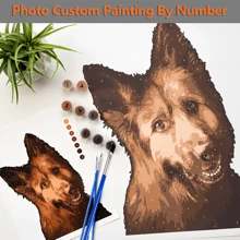 HuaCan 1 张照片定制数字油画个性化数字油画套装无框亚克力 24 色装饰时尚独特礼物宠物周年纪念生日儿童节家居卧室墙壁艺术品