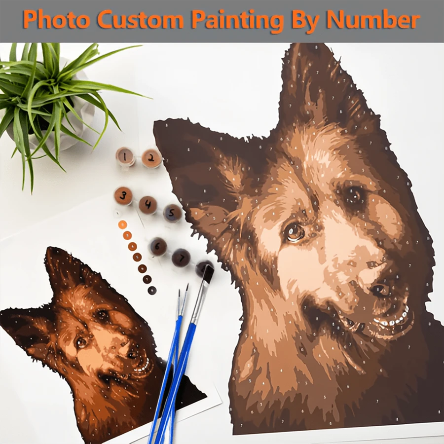 HuaCan 1 张照片定制数字油画个性化数字油画套装无框亚克力 24 色装饰时尚独特礼物宠物周年纪念生日儿童节家居卧室墙壁艺术品