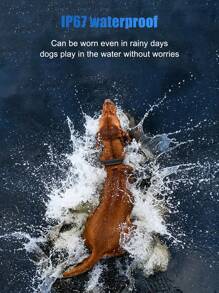 1个全新智能防吠项圈，自动震动训练器，可充电，适用于所有宠物，经久耐用且实用，方便携带和使用。 - 彩色 - 查看 11