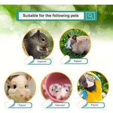 1pc/Set Small Pet Chewing Toy Ball - Rabbit, Guinea Pig, Hamster, Gerbil And Parrot Chew Toy