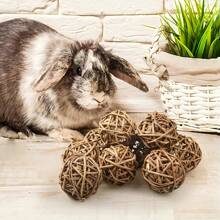 1pc/Set Small Pet Chewing Toy Ball - Rabbit, Guinea Pig, Hamster, Gerbil And Parrot Chew Toy