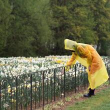 X Metal Garden Lawn Edge Pet Dog Barrier Path Border Fence Yard Plant Protector - 1 - View 2