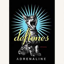 1pc Wall Arts Posters Optional Frame Retro Band Poster Classic Music Album Around The Fur/Rhinestone Eyes Canvas Painting Wall Pictures Home Decor Fans Gift Pop