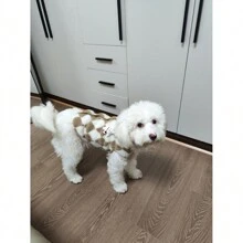 1件宠物服装，新款狗狗/猫咪套装，秋冬季，毛绒针织菱形图案双腿外套，狗狗加厚外套 - 彩色 - 查看 4