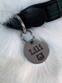 Customizable Pet Tags For Cats, Dogs & Collars, Engraved Cat Tags, Fish-Shaped Cat Tags, Funny Cat Tags, Cat Address Tags, Personalized Key Chains