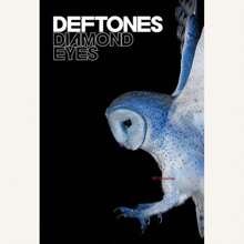 1pc Wall Arts Posters Optional Frame Retro Band Poster Classic Music Album Around The Fur/Rhinestone Eyes Canvas Painting Wall Pictures Home Decor Fans Gift Pop