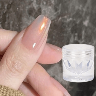 0.5克/片 铬粉 镜面效果颜料，珠光美人鱼和独角兽美甲闪粉装饰，适用于家庭DIY美甲沙龙Y2K