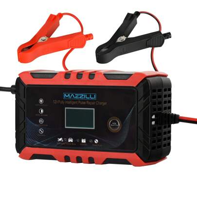 Carregador Bateria 12v Inteligente Até 100 Amperes Bivolt