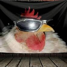 1pc Funny Chick Wearing Sunglasses Pattern Tapestry, Polyester Fabric Wall Hanging Decor For Living Room, Bedroom, Office, Home Decoration, Party, Rectangular Kitchen Wall Hanging Cloth With Draping Effect, Comes With 3 Wall Nails And 2 Clips, Wall Tapestry