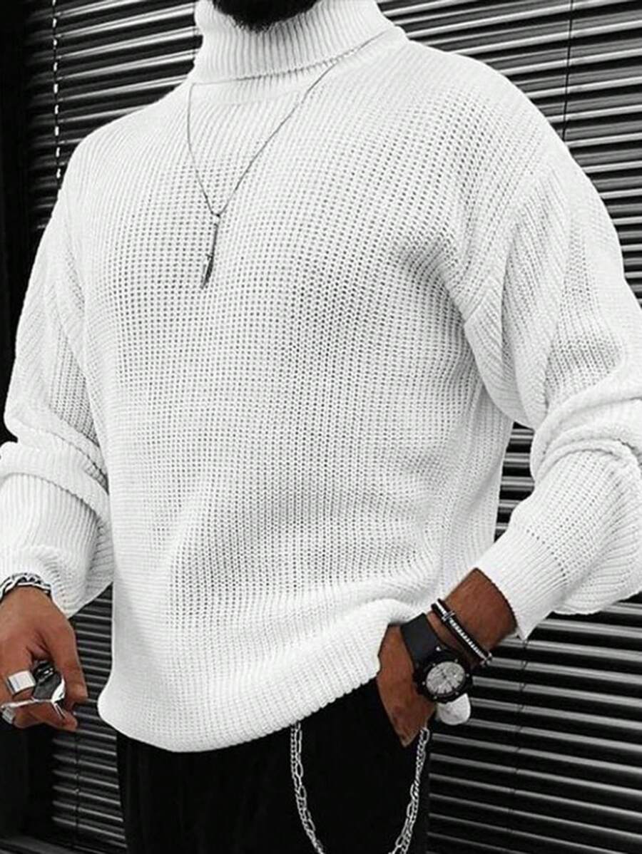 Men's Solid Color Casual Turtleneck Sweater, Autumn/Winter - White - View 1