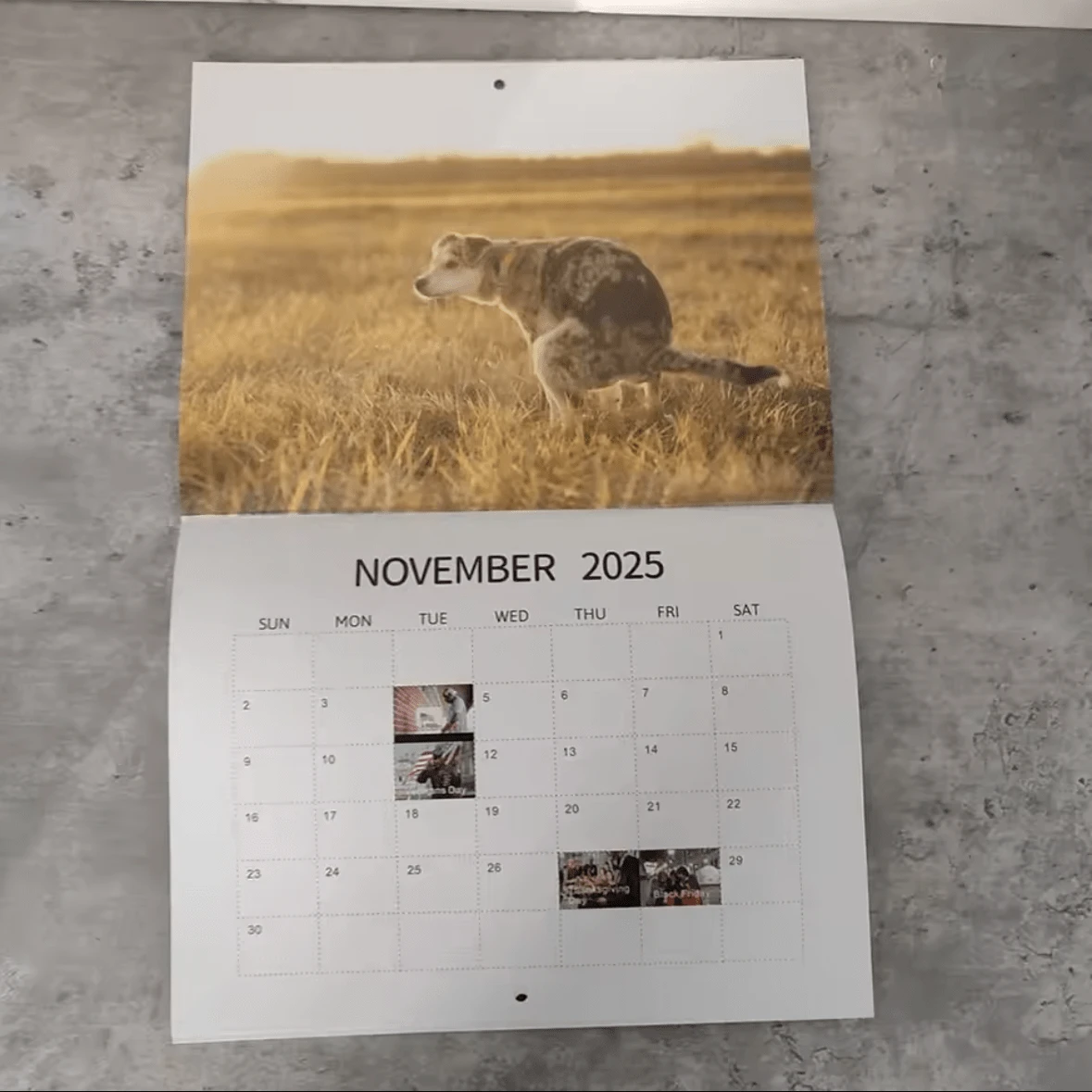 1pc-2025-dogs-pooping-calendar-humorous-dogs-pooping-in-beautiful