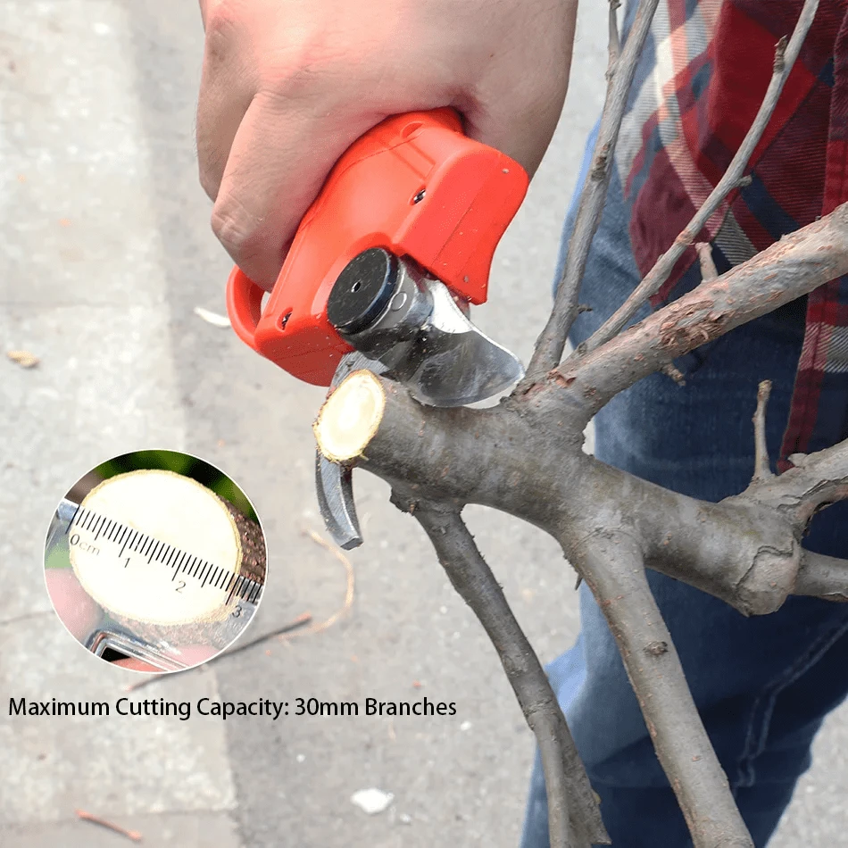 UKCOCO 18 Pezzi Divaricatori Per Rami Ad S In Filo Zincato - Clip Per Addestrare Alberi Da Frutto, Viti E Piante