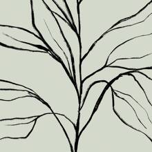 植物线条艺术海报 3 件套印刷品、鼠尾草绿色墙壁艺术印刷品、极简主义现代中性卧室客厅墙壁艺术装饰、北欧极简主义艺术花卉叶子帆布画，适用于客厅卧室，无框架