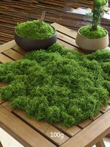 50/100/200g 人造苔藓藤蔓，可扩展且用途广泛，适用于花园装饰、景观美化和室内/室外使用，DIY 仿真苔藓草微景观布局，绿色植物草坪盆栽窗饰景观设计人造苔藓，情人节，生日毕业礼物，花园装饰，户外植物，园艺，假花 - 彩色 - 查看 17
