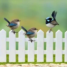 1 PIEZA Decoración de pared de arte de pájaros de metal, Juego de 1 pájaro brillante en rama Decoración de pared de pájaros de metal colgante Floral con pájaros para interiores y exteriores Decoración de valla, jardín, patio