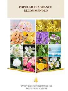 New 10ml Water-Soluble Aromatherapy Essential Oil For Home, Bedroom, Car, Air Freshener, Humidifier. Includes Over 10 Scents Such As Jasmine, Rose, Sandalwood, Lavender, Lemon And More.