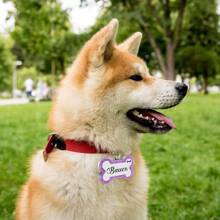 Plaques d'identité gravées pour animaux de compagnie, plaque d'identification de chien personnalisée avec n'importe quel nom et texte, collier de chien personnalisé avec étiquette de nom de chien pailletée, étiquette d'identification d'os pour chiots et animaux de compagnie - os - Voir 5