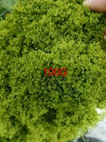 50/100/200g 人造苔藓藤蔓，可扩展且用途广泛，适用于花园装饰、景观美化和室内/室外使用，DIY 仿真苔藓草微景观布局，绿色植物草坪盆栽窗饰景观设计人造苔藓，情人节，生日毕业礼物，花园装饰，户外植物，园艺，假花 - 彩色 - 查看 13