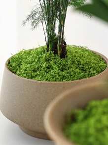 50/100/200g 人造苔藓藤蔓，可扩展且用途广泛，适用于花园装饰、景观美化和室内/室外使用，DIY 仿真苔藓草微景观布局，绿色植物草坪盆栽窗饰景观设计人造苔藓，情人节，生日毕业礼物，花园装饰，户外植物，园艺，假花 - 彩色 - 查看 6