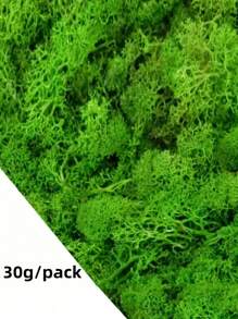 50/100/200g 人造苔藓藤蔓，可扩展且用途广泛，适用于花园装饰、景观美化和室内/室外使用，DIY 仿真苔藓草微景观布局，绿色植物草坪盆栽窗饰景观设计人造苔藓，情人节，生日毕业礼物，花园装饰，户外植物，园艺，假花 - 彩色 - 查看 10