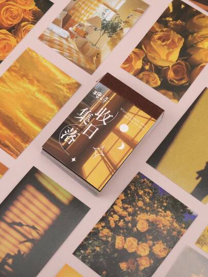 50 件/套勃艮第剪贴簿和日记装饰贴纸、学校用品、返校