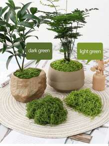 50/100/200g 人造苔藓藤蔓，可扩展且用途广泛，适用于花园装饰、景观美化和室内/室外使用，DIY 仿真苔藓草微景观布局，绿色植物草坪盆栽窗饰景观设计人造苔藓，情人节，生日毕业礼物，花园装饰，户外植物，园艺，假花 - 彩色 - 查看 2