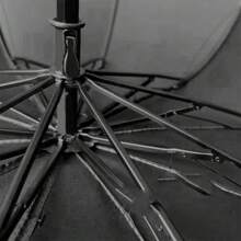 1把10骨黑色雨伞，两用折叠伞，格子饰边，促销印花雨伞