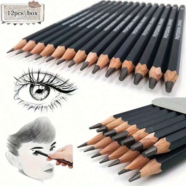 12pcs Professional Drawing Pencil Set - Precision Sketching & Painting Pencils, 2H-8B Hardness Range, Suitable For Artists, Students And Hobbyists,Educational Toys,Kids Painting,Paint Machine,Back To School