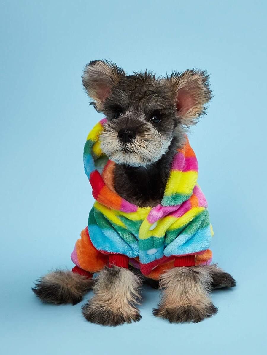 1 件多色條紋毛絨四腿寵物夾克帶球裝飾貓狗日常穿著 - 彩色 - 查看 1